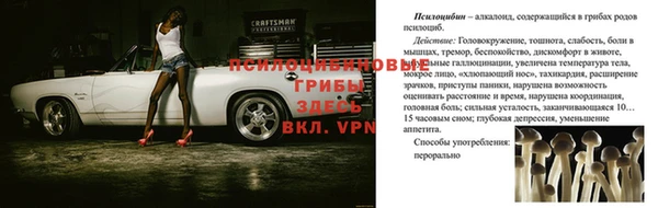 a pvp Белокуриха