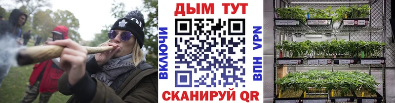 где можно купить   Калуга  Каннабис White Widow 